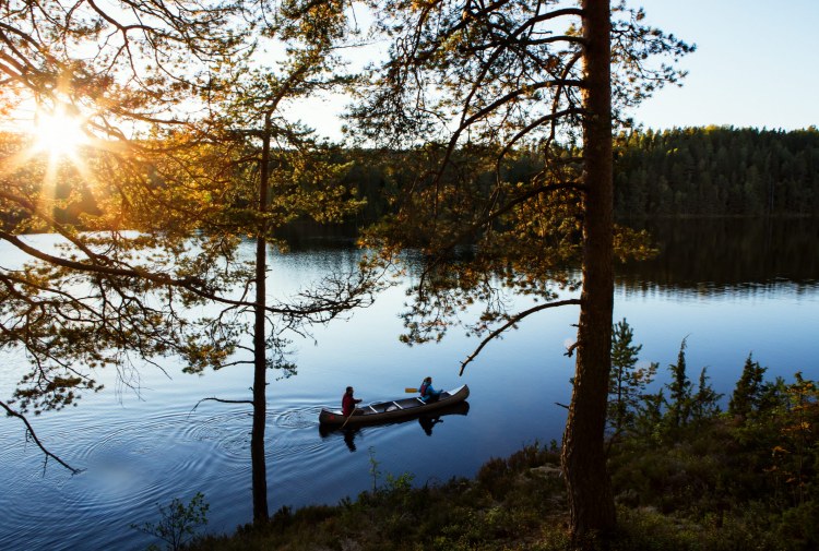 vacanza in Svezia nella natura: 72hcabin | Foodtrip and more